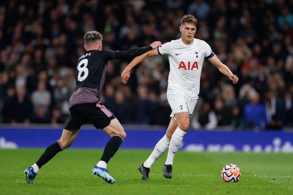 Tottenham Hotspur v Fulham FC - Premier League