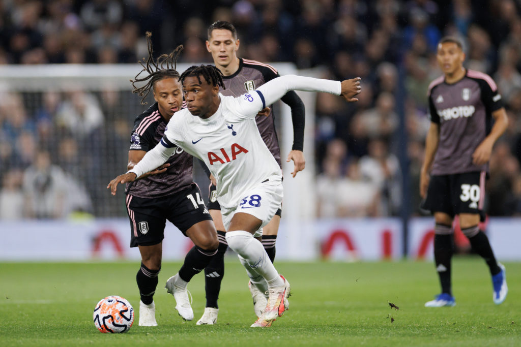 Tottenham Hotspur v Fulham FC - Premier League