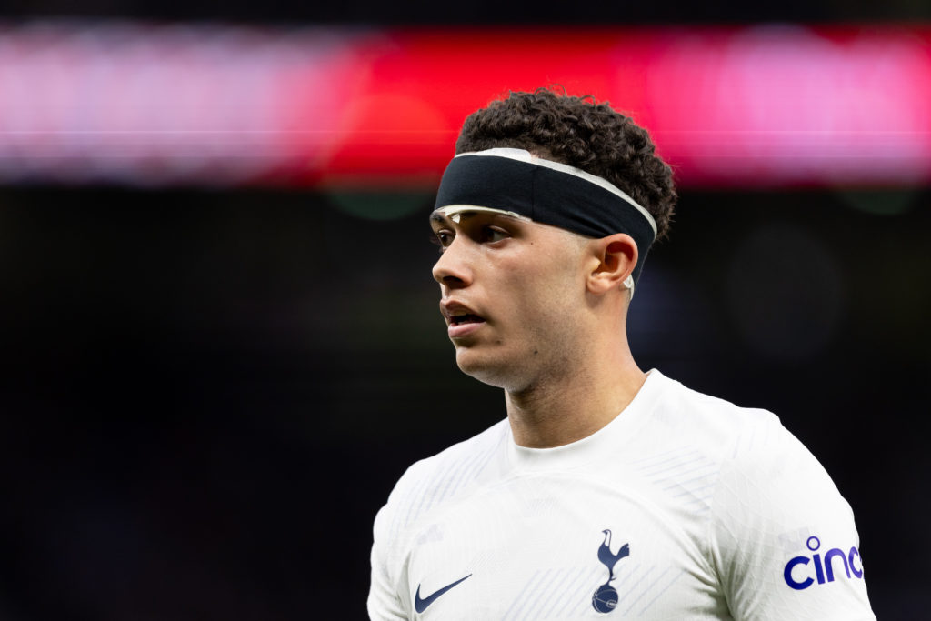 Brennan Johnson Pedro Porro Tottenham