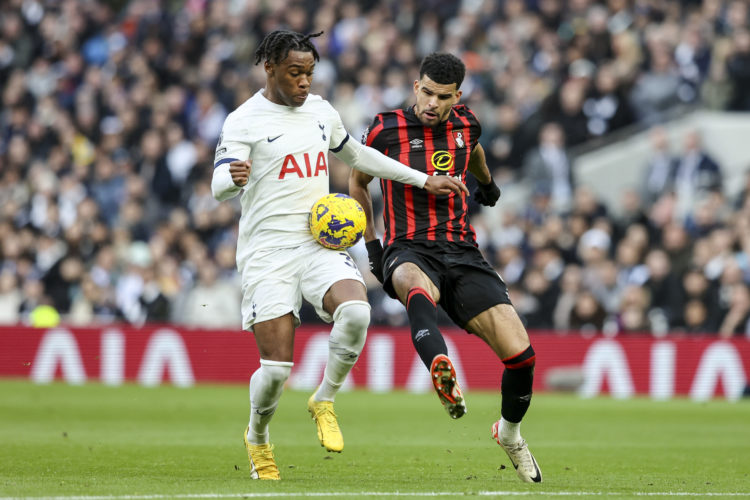 Photo by Robin Jones - AFC Bournemouth/AFC Bournemouth via Getty Images