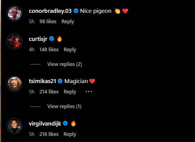 Replies under Harvey Elliott's Instagram post