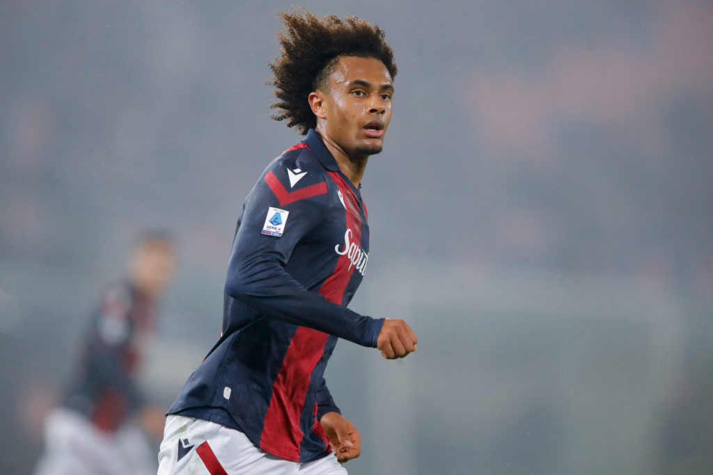 Joshua Zirkzee Tottenham