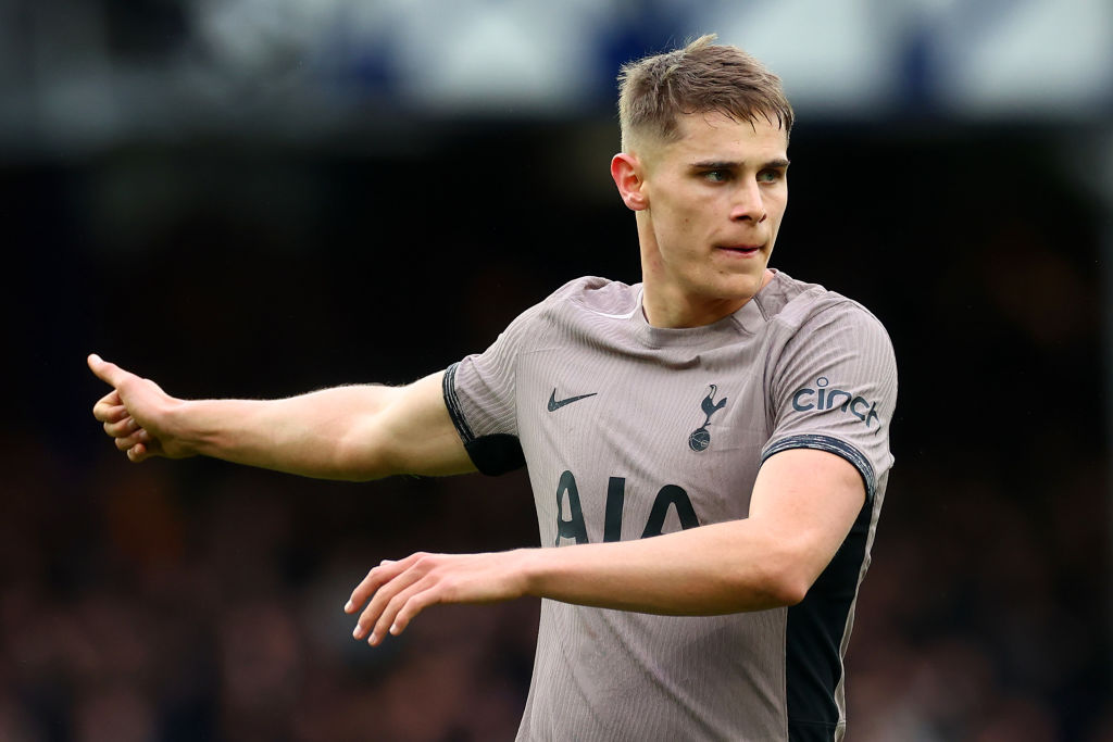 Everton FC v Tottenham Hotspur - Premier League