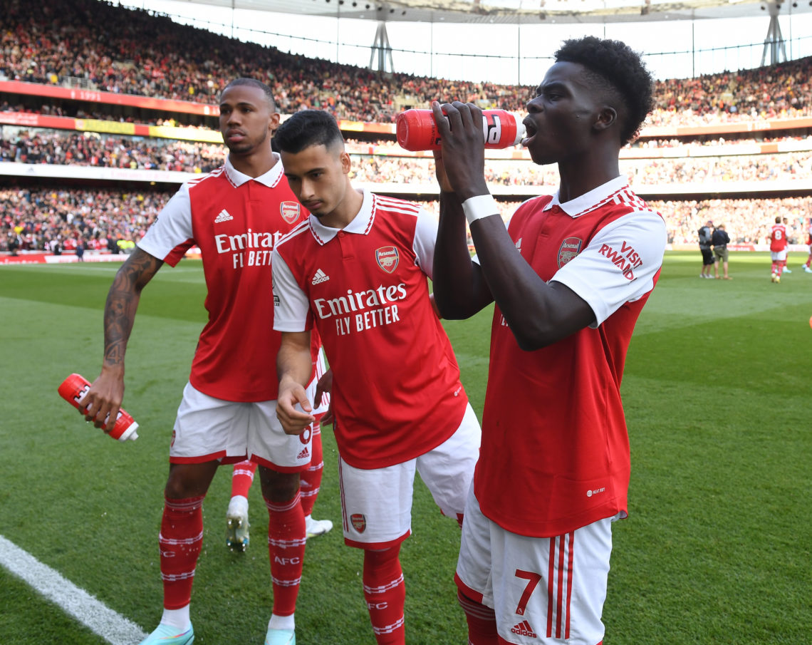 Photo by David Price/Arsenal FC via Getty Images