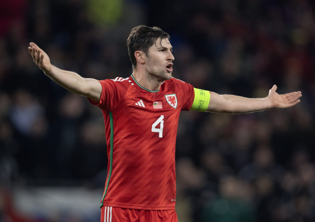 Wales v Turkey: Group D - UEFA EURO 2024 European Qualifiers
