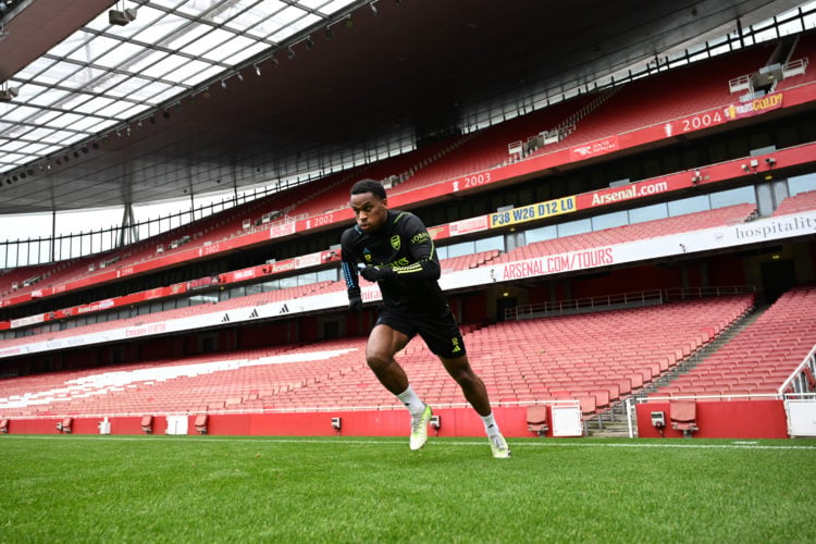 Photo by Stuart MacFarlane/Arsenal FC via Getty Images