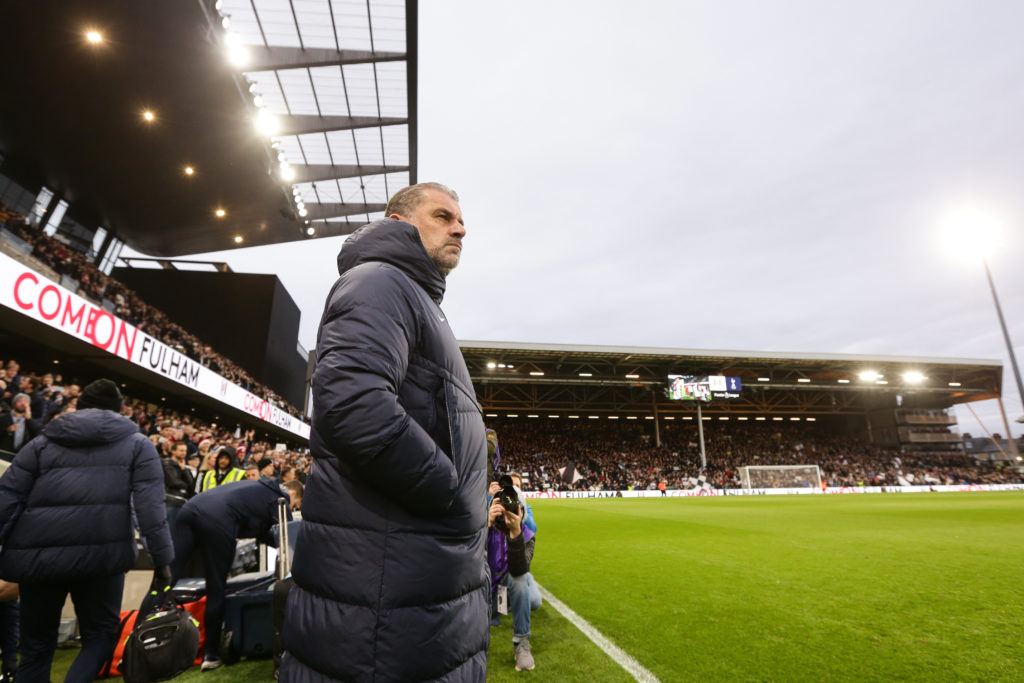 Fulham FC v Tottenham Hotspur - Premier League