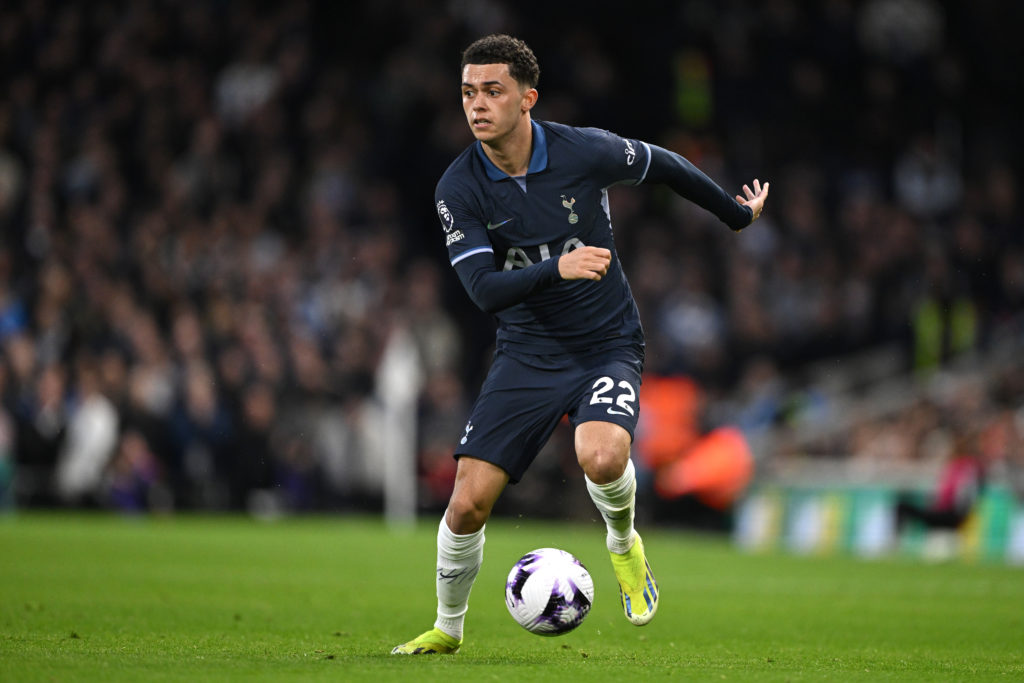 Fulham FC v Tottenham Hotspur - Premier League