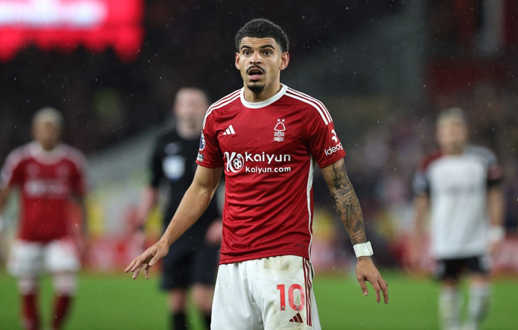 Nottingham Forest v Fulham FC - Premier League