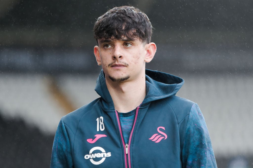 Swansea City v Stoke City - Sky Bet Championship