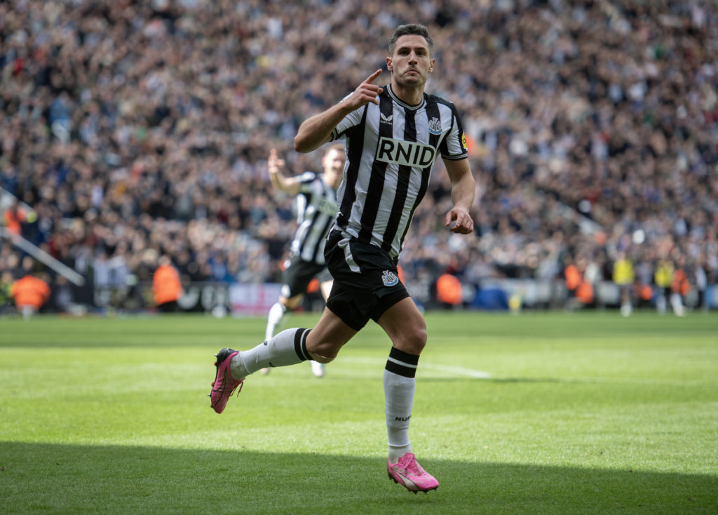 Newcastle United v Tottenham Hotspur - Premier League
