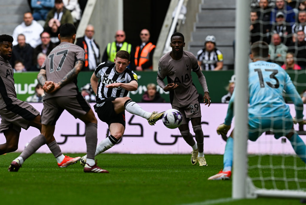 Newcastle United v Tottenham Hotspur - Premier League
