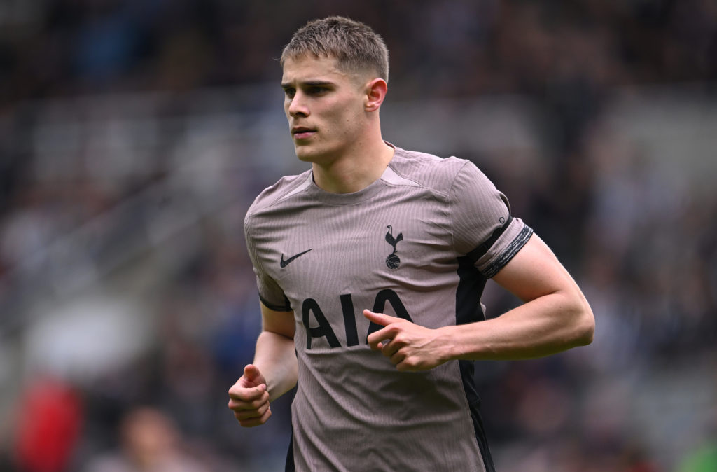 Newcastle United v Tottenham Hotspur - Premier League