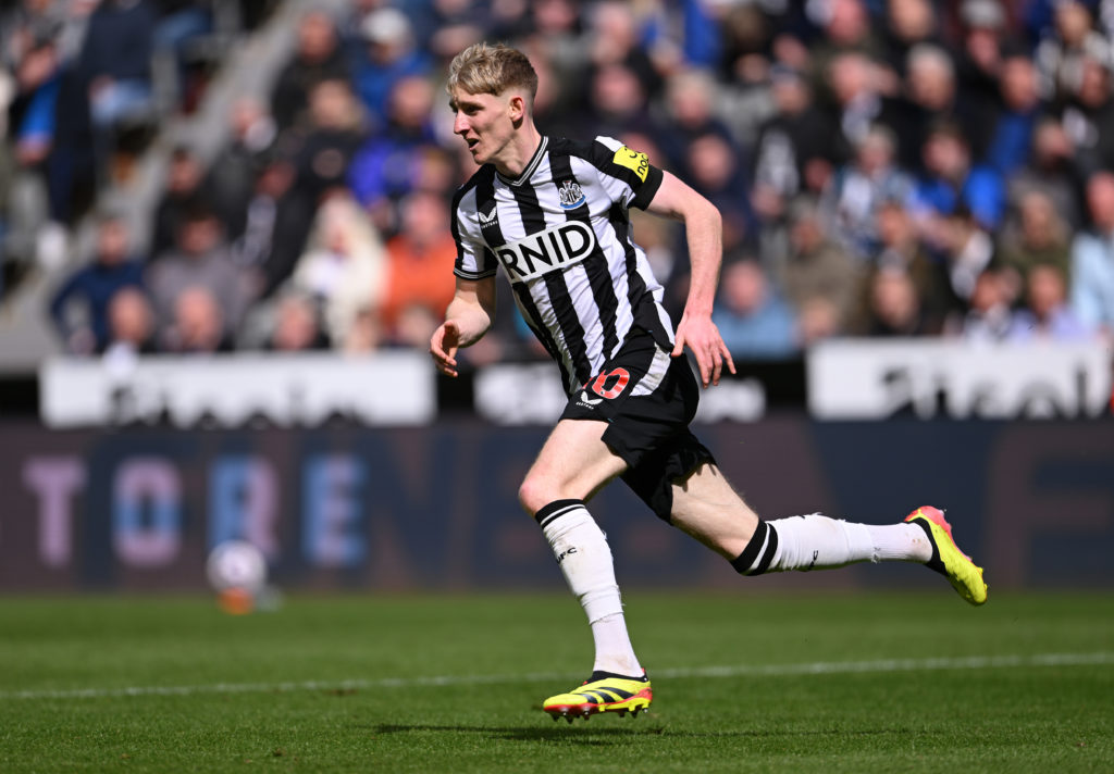 Newcastle United v Tottenham Hotspur - Premier League
