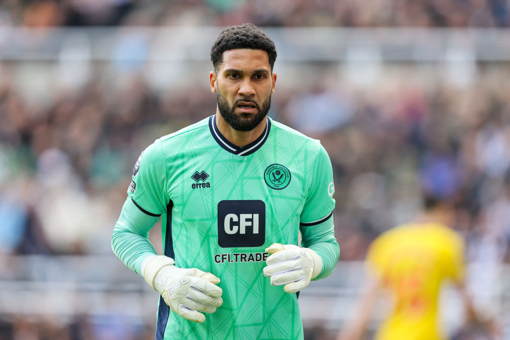 Newcastle United v Sheffield United - Premier League