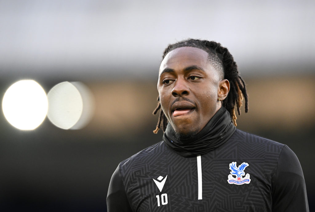 Crystal Palace v Newcastle United - Premier League