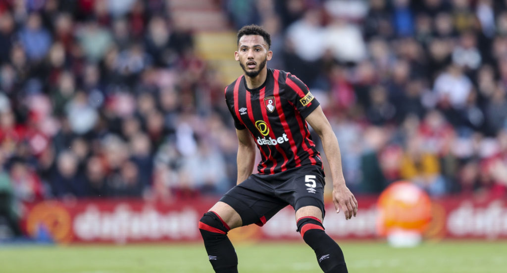 AFC Bournemouth v Brighton & Hove Albion - Premier League