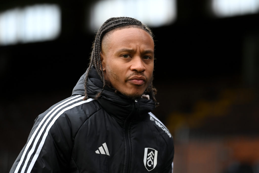 Fulham FC v Tottenham Hotspur - Premier League