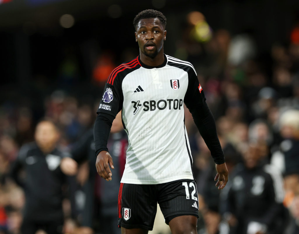 Fulham FC v West Ham United - Premier League