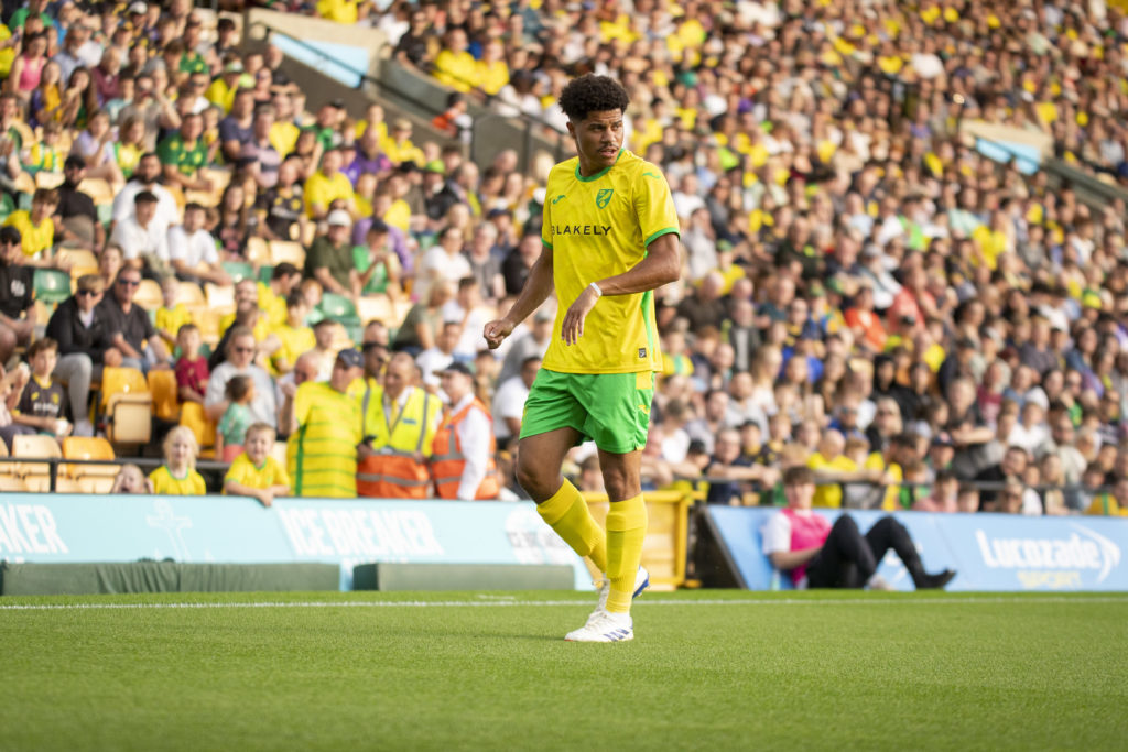 Gabriel Sara of Norwich City is looking on during the Pre-season Friendly match between Norwich City and FC Magdeburg at Carrow Road in Norwich, En...