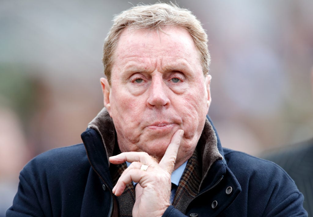 'The real deal': Harry Redknapp says Tottenham have a teenager who'll become a 'top player for Spurs'