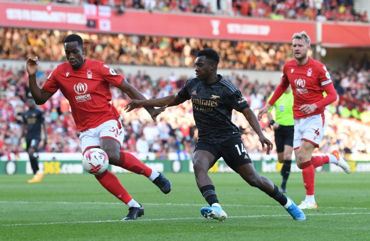 Photo by David Price/Arsenal FC via Getty Images