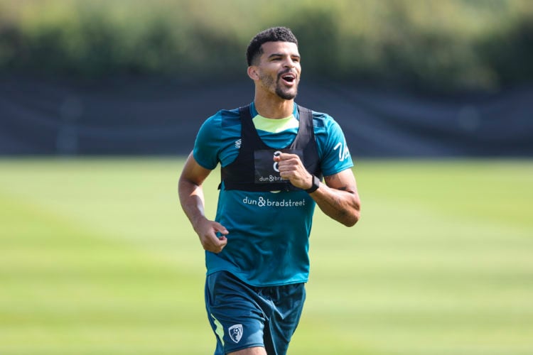 Photo by Robin Jones - AFC Bournemouth/AFC Bournemouth via Getty Images