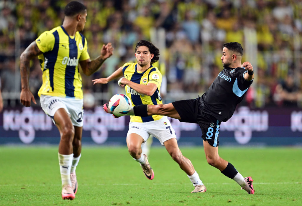 Fenerbahce v Adana Demirspor - Turkish Super Lig
