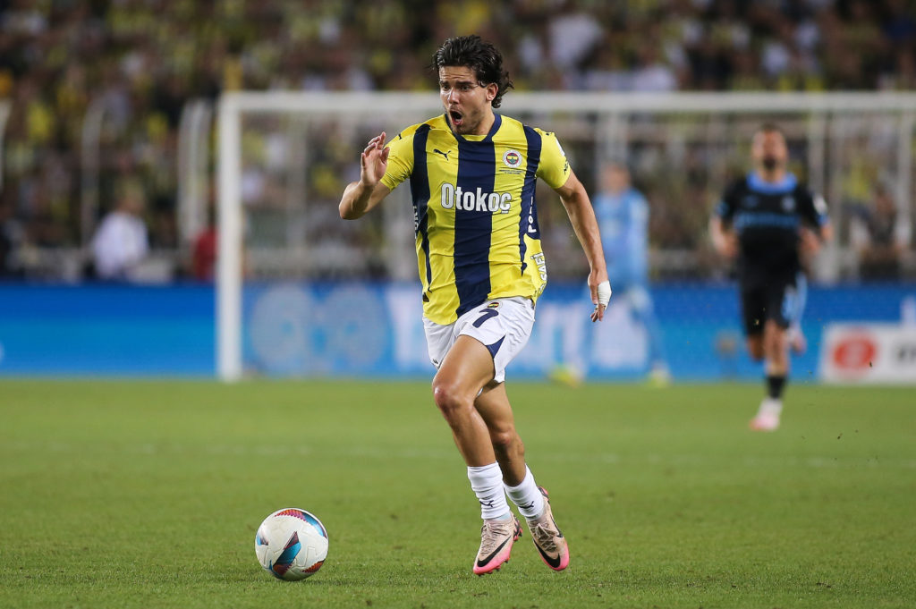 Fenerbahce v Adana Demirspor - Turkish Super League