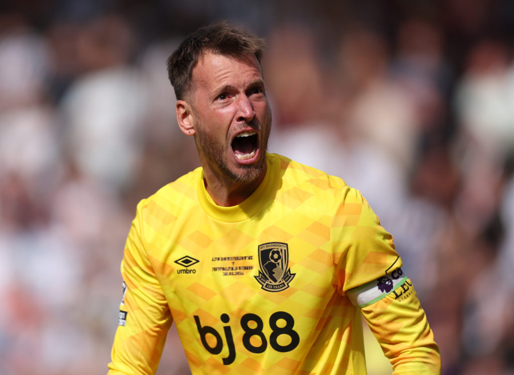 AFC Bournemouth v Newcastle United FC - Premier League