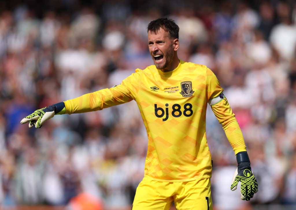 AFC Bournemouth v Newcastle United FC - Premier League