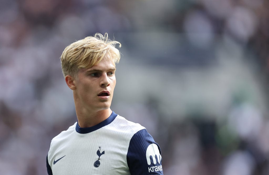 Tottenham Hotspur FC v Everton FC - Premier League