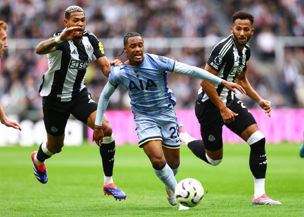 Newcastle United FC v Tottenham Hotspur FC - Premier League