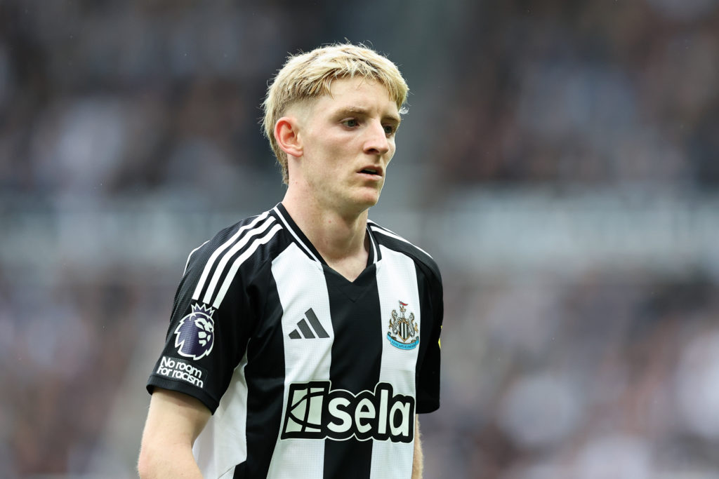 Newcastle United FC v Tottenham Hotspur FC - Premier League