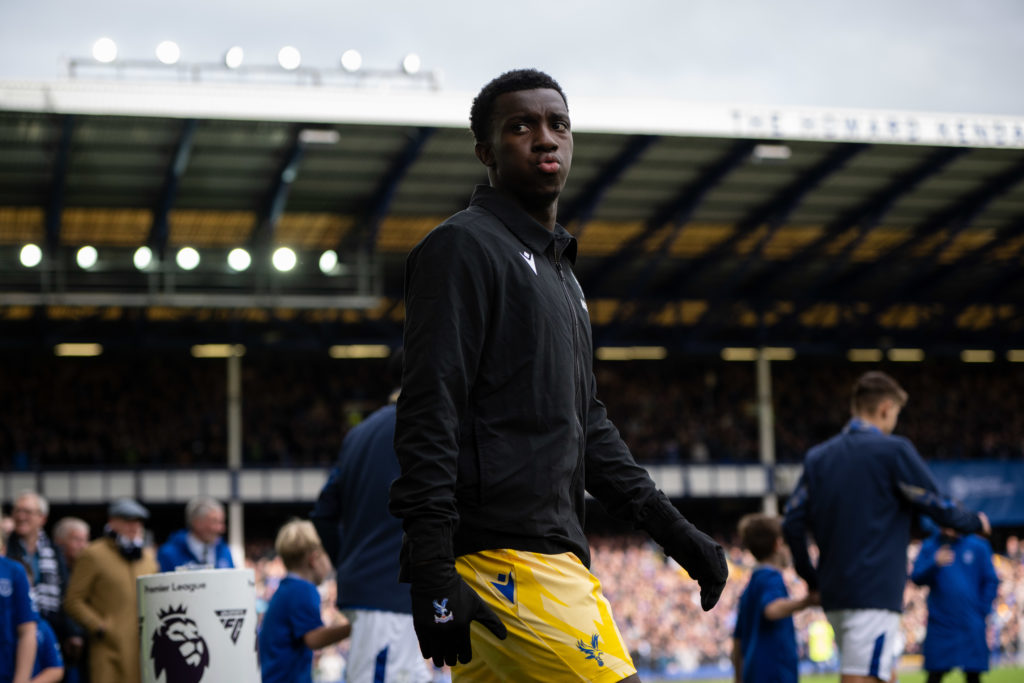 Everton FC v Crystal Palace FC - Premier League