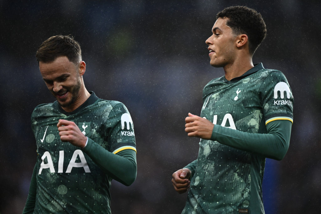 Brighton & Hove Albion FC v Tottenham Hotspur FC - Premier League