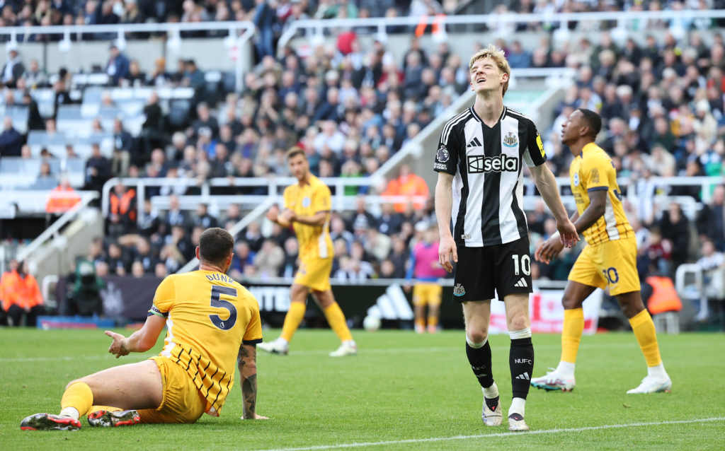 Newcastle United FC v Brighton & Hove Albion FC - Premier League