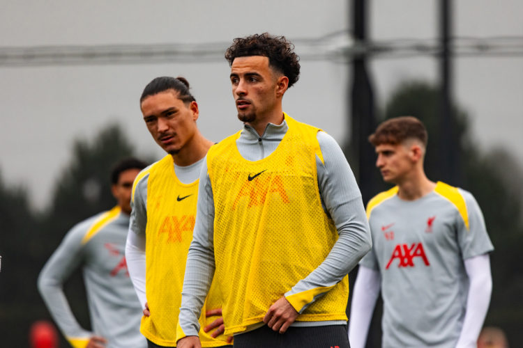Photo by Nikki Dyer - LFC/Liverpool FC via Getty Images