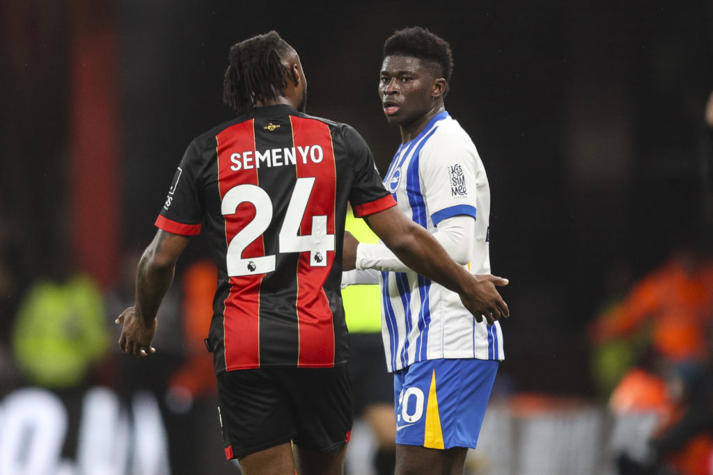 AFC Bournemouth v Brighton & Hove Albion FC - Premier League