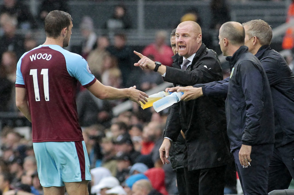 Fulham FC v Burnley FC - Premier League