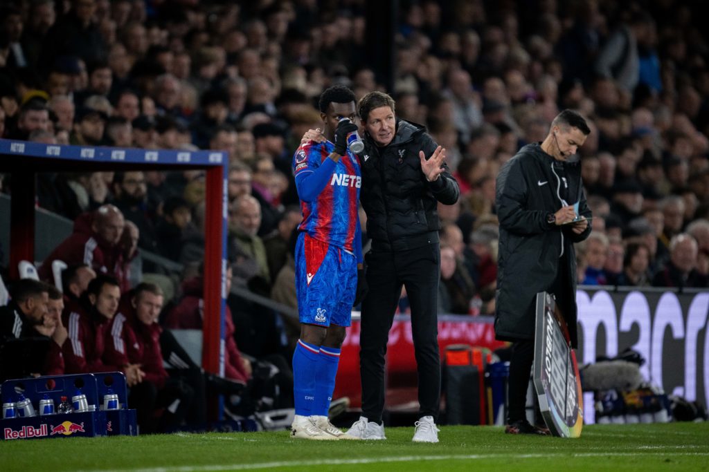 Crystal Palace FC v Newcastle United FC - Premier League