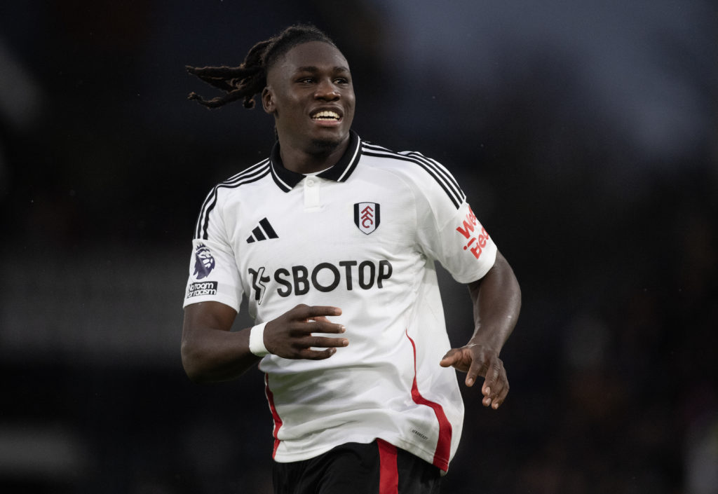 Fulham FC v Wolverhampton Wanderers FC - Premier League