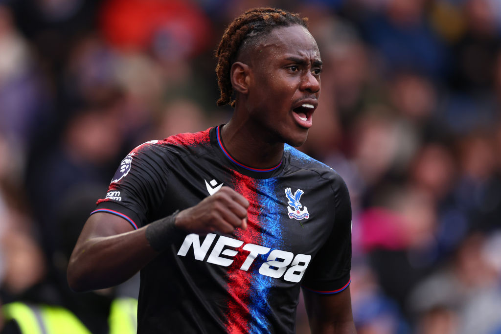 Brighton & Hove Albion FC v Crystal Palace FC - Premier League