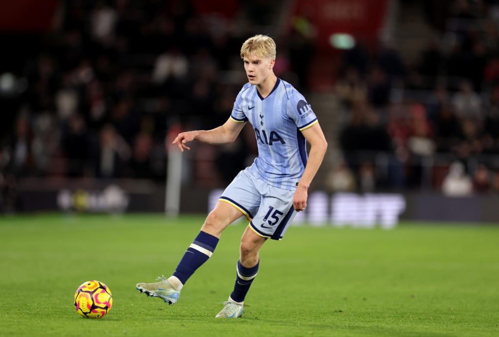 Southampton FC v Tottenham Hotspur FC - Premier League