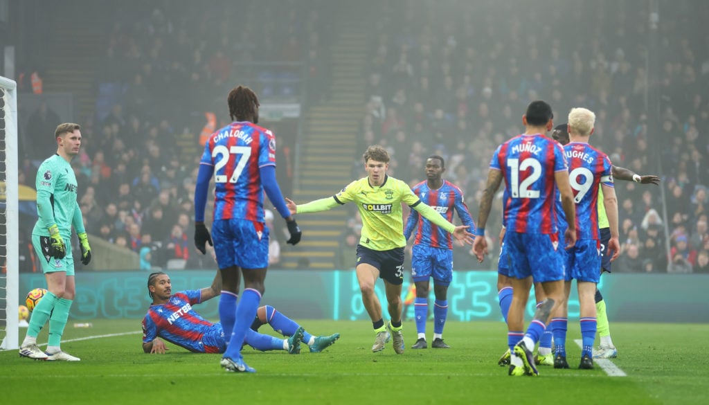 'At the last moment': Paul Robinson says VAR made a big mistake during Crystal Palace 2-1 Southampton