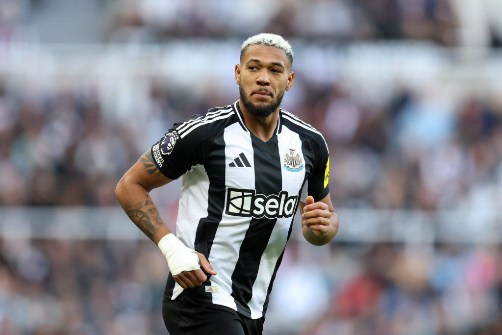 Newcastle United FC v Brighton & Hove Albion FC - Premier League
