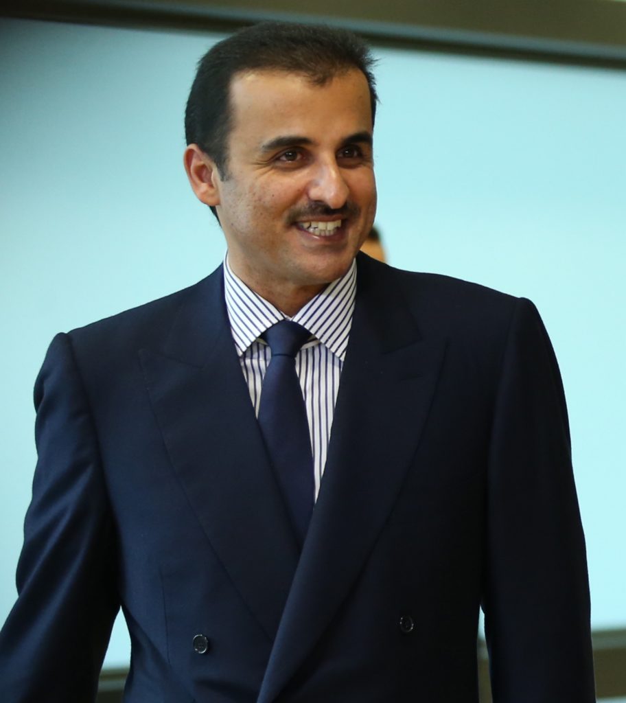 Sheikh Tamin Bin Hamad Al Thani, Emir of Qatar meets with Federica Mogherini, High Representative of the Union for Foreign Affairs and Security Pol...