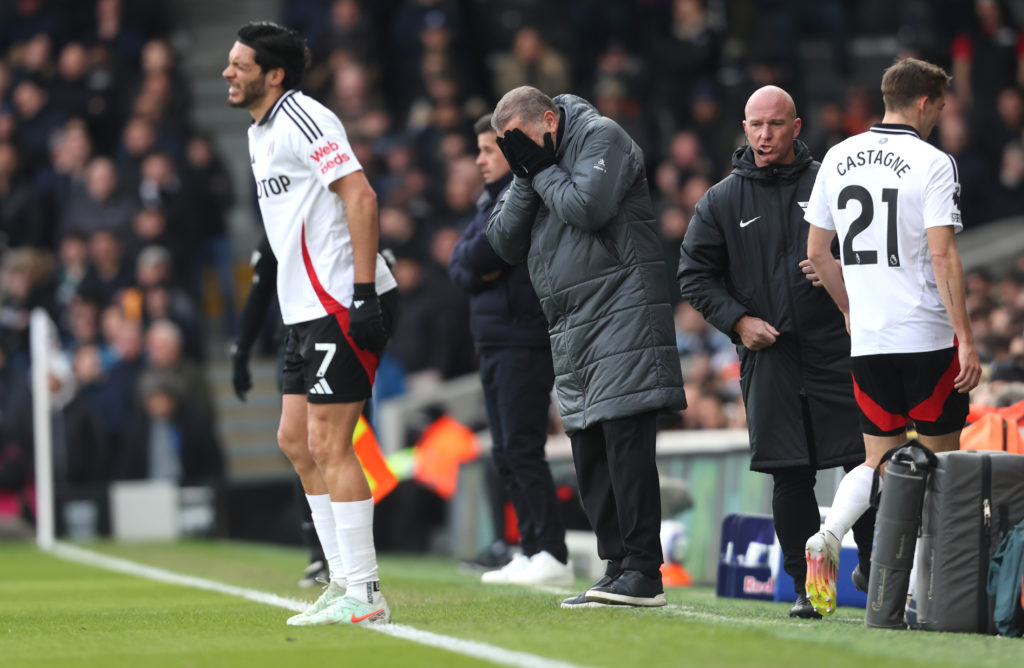 Fulham FC v Tottenham Hotspur FC - Premier League