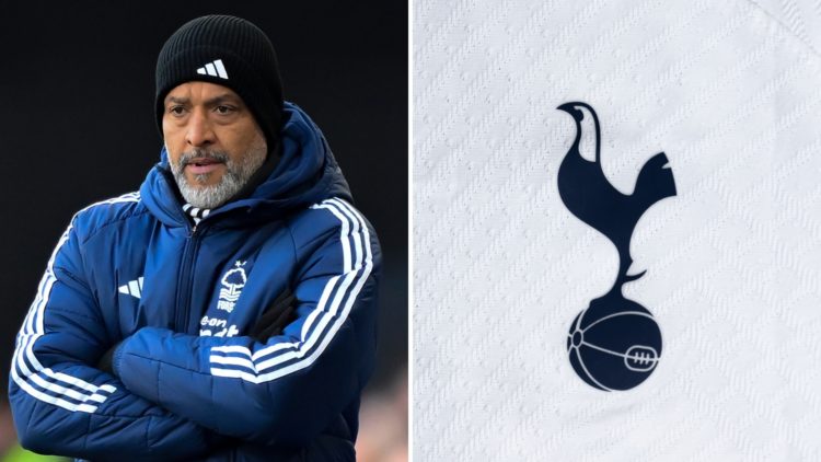 Split image of Nuno Espírito Santo (left) and the Tottenham badge (right).