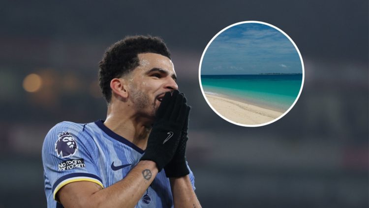 Dominic Solanke with inset of a beach